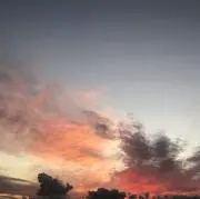 nTcrの画像
