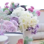 たんたん