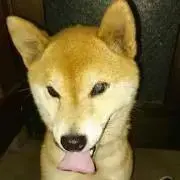 あんどうなつ