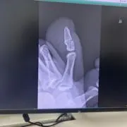 未来の画像