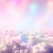 まーるの画像