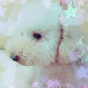 モコ