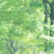 ☆の画像