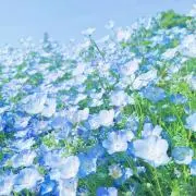こゆこ※プロフ必読お願いします。の画像