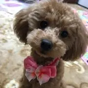 スミリン
