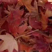 あ