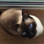 ひめひめの画像