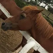 美品 BURST 2002年11月号 vol.59 鳥肌実特集 - メルカリ