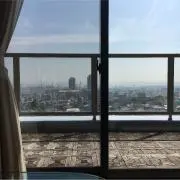 みーの画像