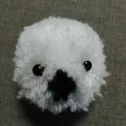 あざらしの画像