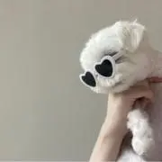 aの画像