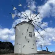 ふく（次回発送日8/27）の画像