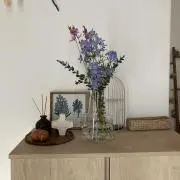 宵の画像
