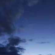 nanakoの画像