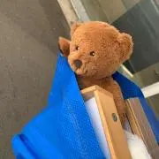 サナの画像