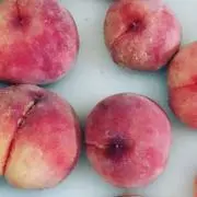momoの画像