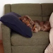 モナカ❤︎