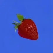 わたし