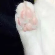 ☻の画像