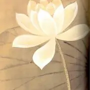 Rtsmrの画像