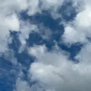 モリモリの画像