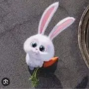 のんの画像