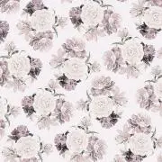 Totoの画像