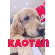 KAOTAN☆プロフ必読願いますの画像