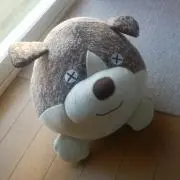 Fuecocoの画像