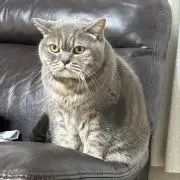 ゆにの画像