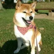 ☆しゅけ☆プロフ必読☆
