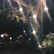 Kaiの画像