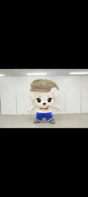 nayu