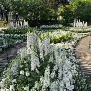 たえぴの画像