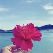 C Uの画像