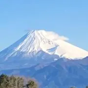ぽこの画像