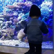 Kさん.com@