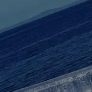 坂漬けの画像