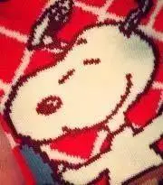 Rika☆