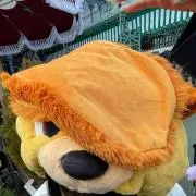 在庫処分したいためお安くしました‼️の画像