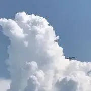 Bravuraの画像