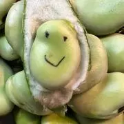 そらまめの画像