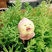Kensnetjp