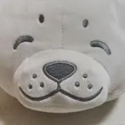Pの画像