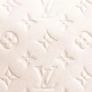 pyonの画像
