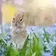 Ni coの画像