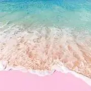 rea*の画像