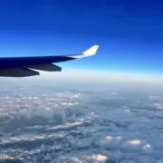ぽむやんの画像