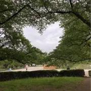 けいの画像
