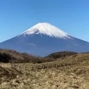カットさんの画像